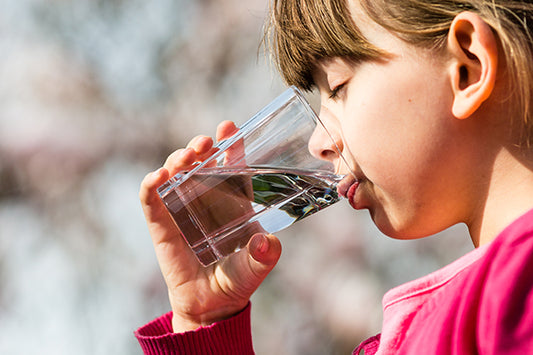 Whole-House Water Filter